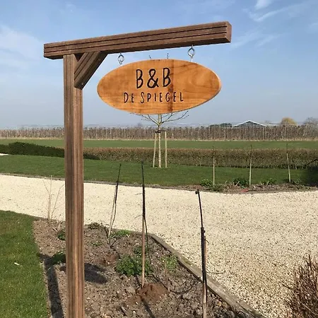 B&B De Spiegel - Genieten Van Rust En Ruimte Cothen Esterno foto